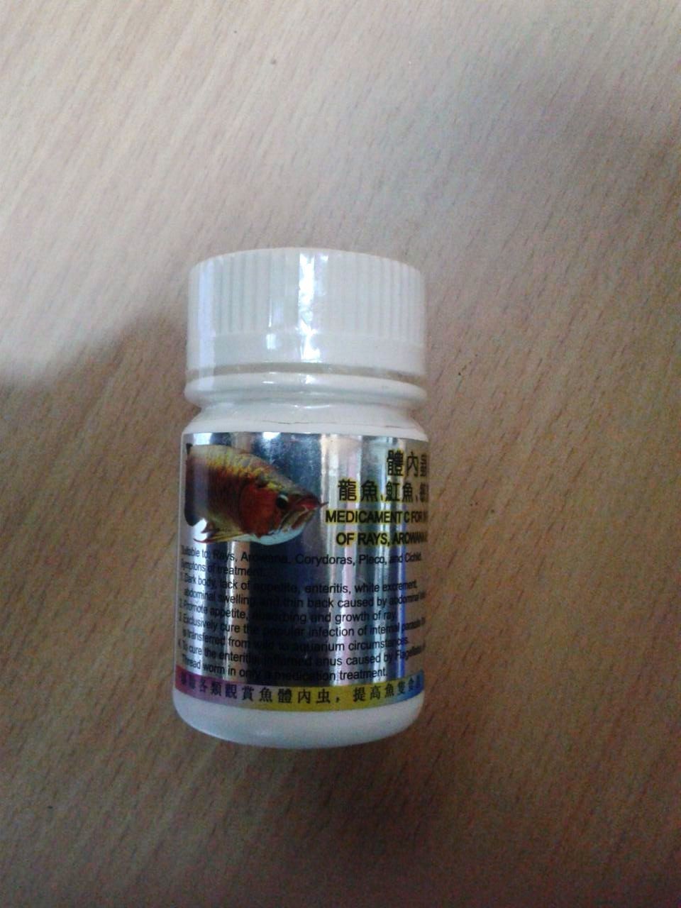 Fish Aquarium