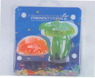 Fish Aquarium