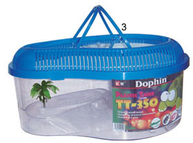 Fish Aquarium