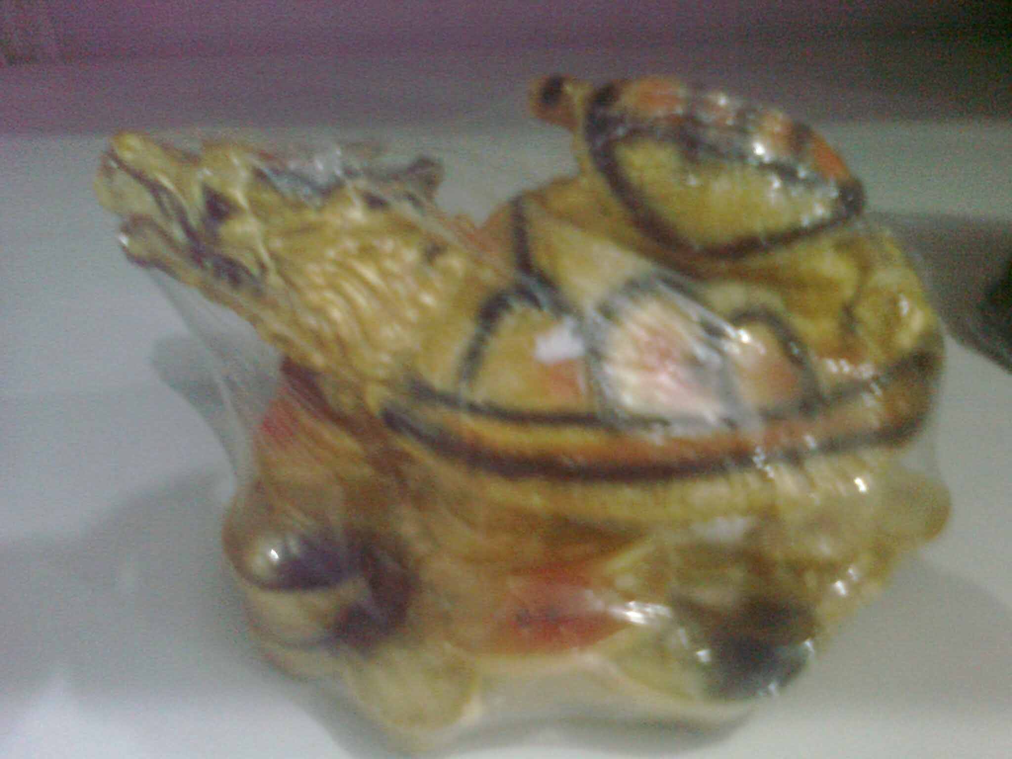 Fish Aquarium