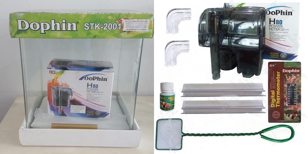 Fish Aquarium